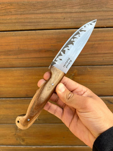 بوشکرفت استاد داداشی