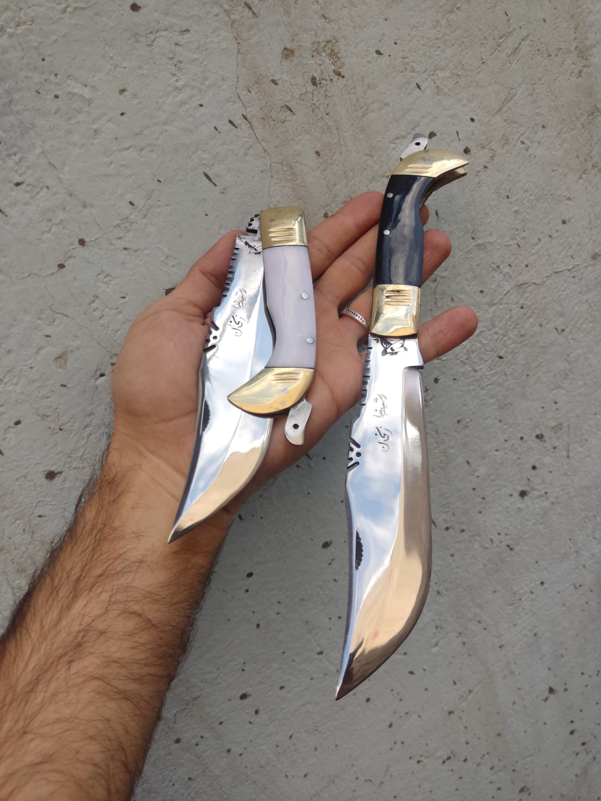 نیم غلاف دنده ای رشیدنیا